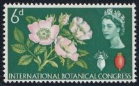 1964 6d Botanical OVERSIZED BANDS